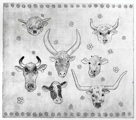 photo aug 26 2021, 3 35 44 pm_edited.jpg