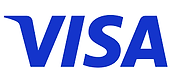 Visa Card.png
