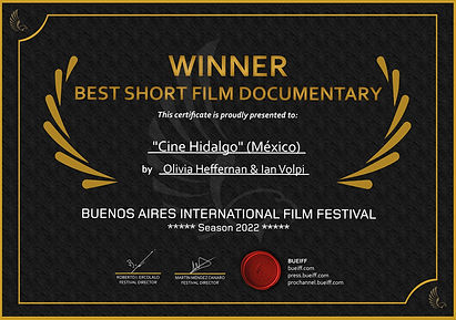 Best Short Film Documentary BUEIFF 2022.jpg