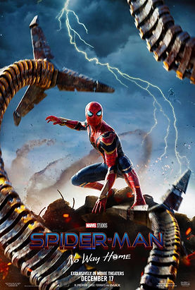 Spider large_22ddeb92be39c2eaf74e31e4360d46bd-spiderman_no_way_home_xxlg.jpeg