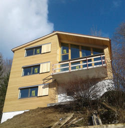 Fassade aus Holz