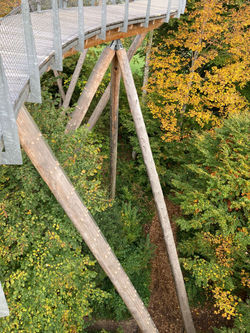 Baumwipfelpfad Neckertal