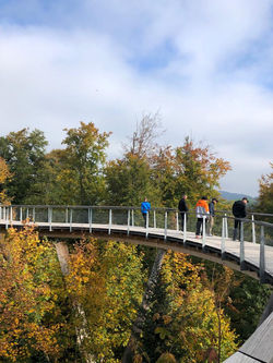Baumwipfelpfad Neckertal