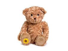 2_PETRIBUTES_MEMORY_BEAR_FRONT_MEMBEAR.jpg