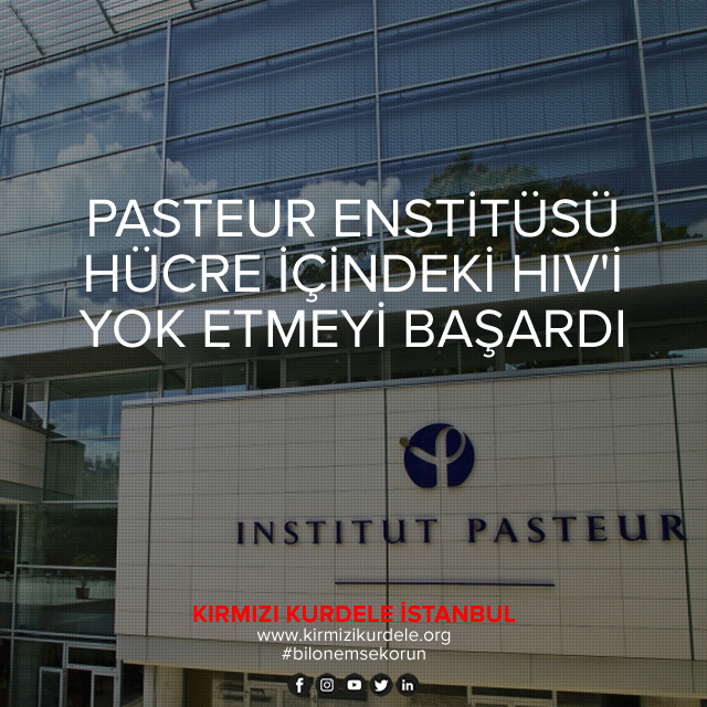 Pasteur Enstitüsü, hücre içindeki HIV’i yok etmeyi başardı!