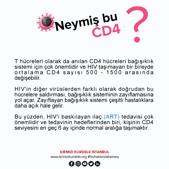Kırmızı Kurdele İstanbul I CD4