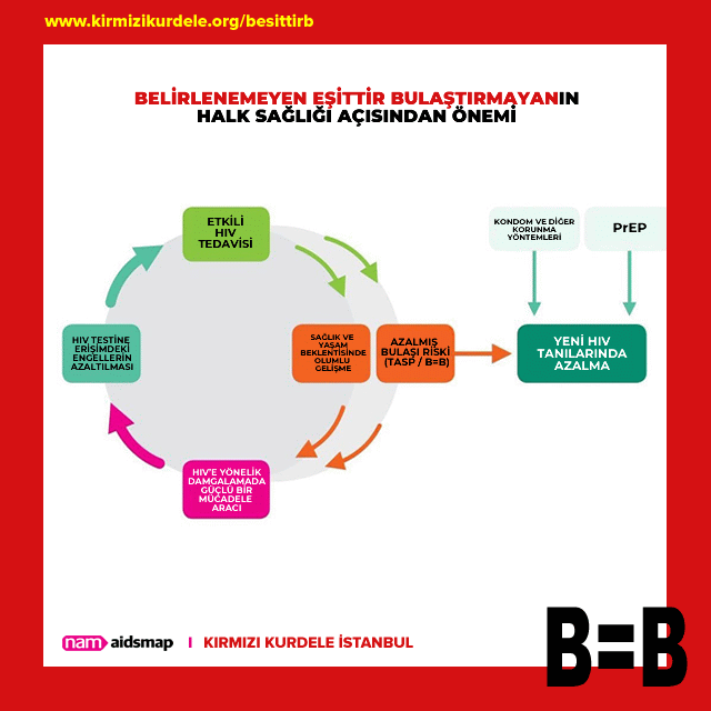 B = B, B eşittir B