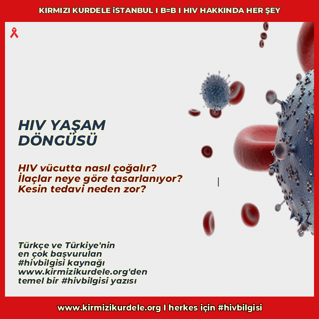 HIV yaşam döngüsü