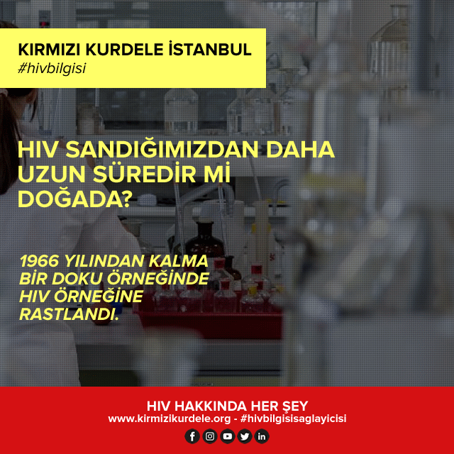 Kırmızı Kurdele İstanbul I HIV hakkında her şey