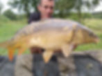 carpe miroir