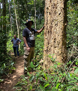 Logging Assessment.jpeg