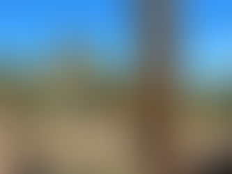 2023 Season Opening!