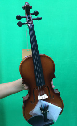 violin 2