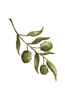 oliveira.png