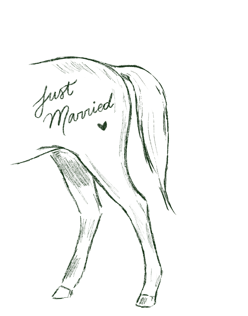 Ilustra-1.gif