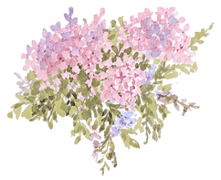 Flores-06.png
