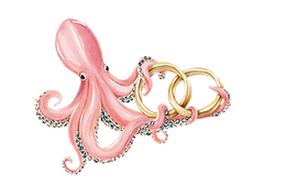 Polvo com alianças.png