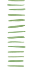 Ilustração_Sem_Título.png