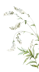 Flor-03.png