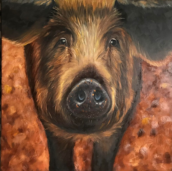 Varken 60x60 cm Wout.jpg