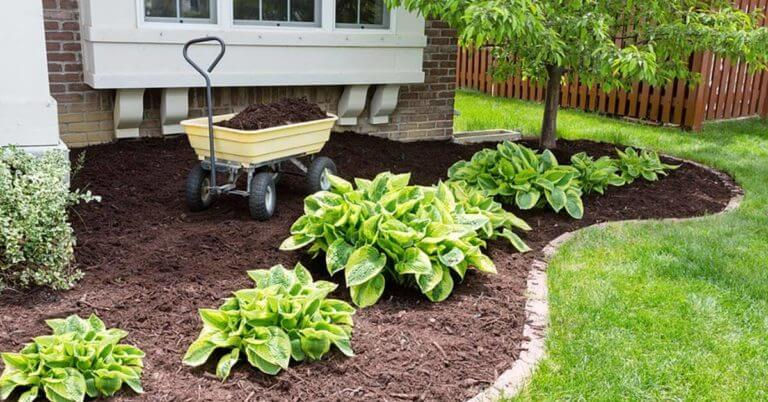 Mulch bed with flowers