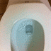 toilet.gif