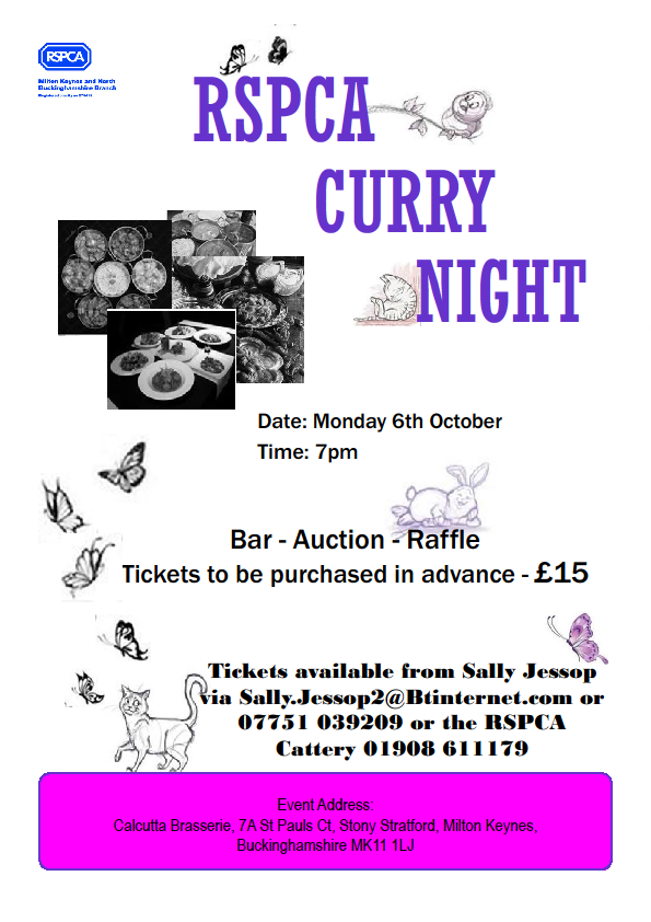 Curry Night.png
