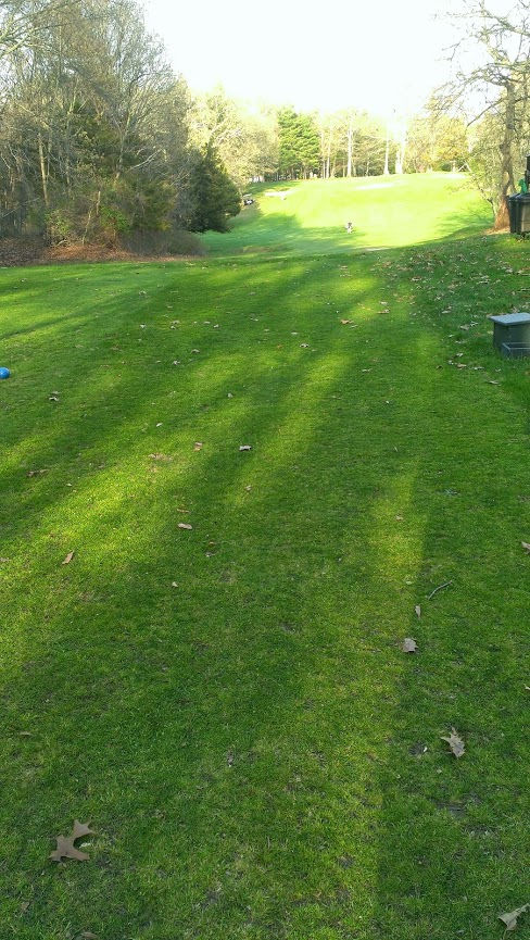 woodland greens memory.jpg