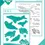Thumbnail: BUNDLE- Serene Sea Life