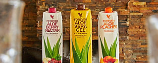aloe vera erfrischungsgetrnk gesund Reiner Bio Aloe Vera Saft