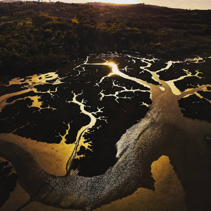 Cropsy-The-Artist_Photography8_Copyright