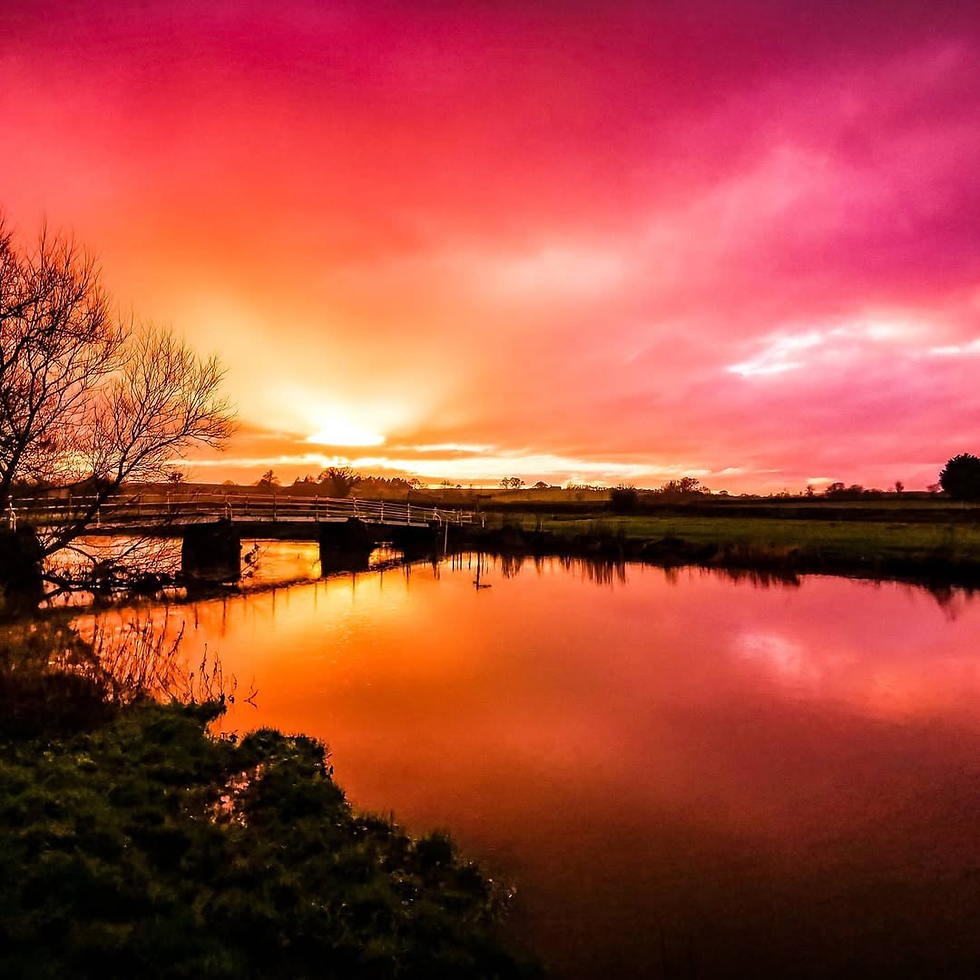 Cropsy-The-Artist_Photography14_Copyright