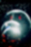 Flora_DiscoBalls.jpeg