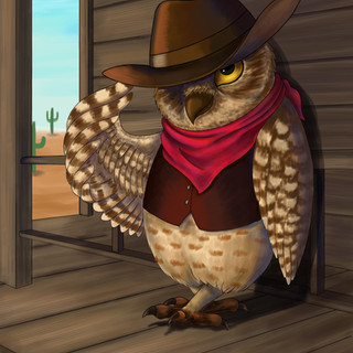 Cowboy Owl