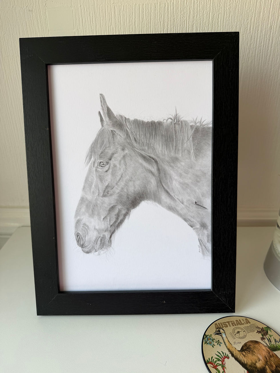 Thumbnail: Original Drawing - Meg