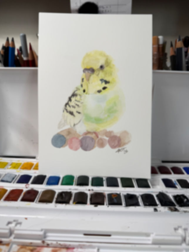 Mini Watercolour paintings