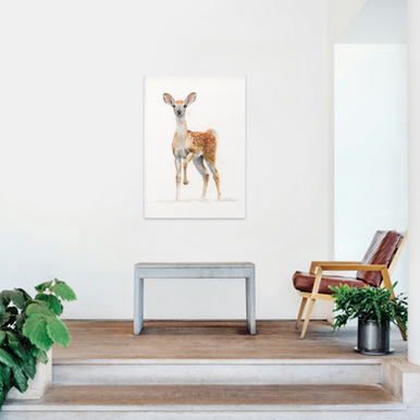 original pencil drawing of a fallow deer displayed in a sunroom