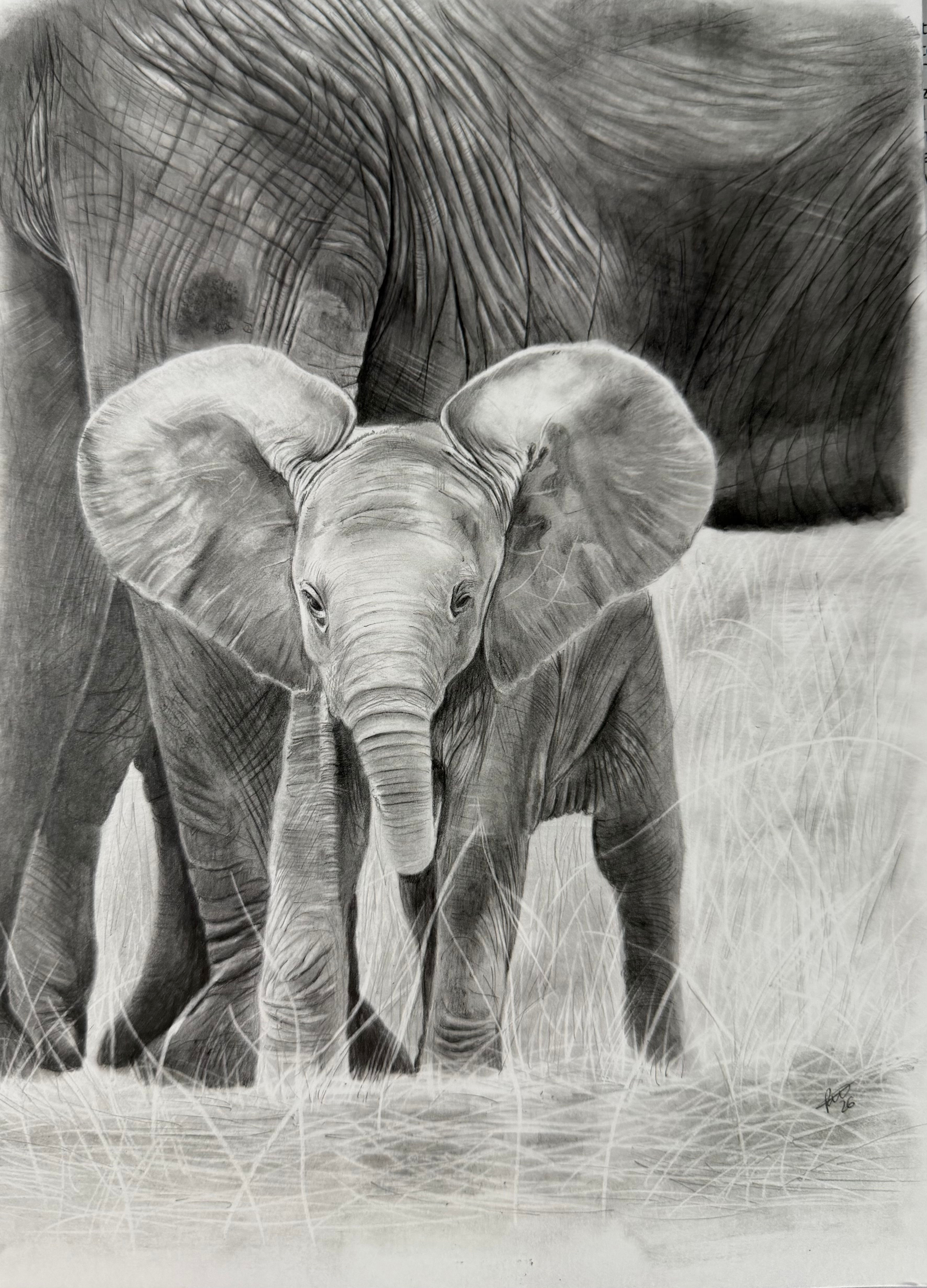 Elephant Family - 9x12 inch Fine Art Print