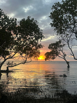 Critiquing Patriarchy’s extractive mindset through a feminist lens