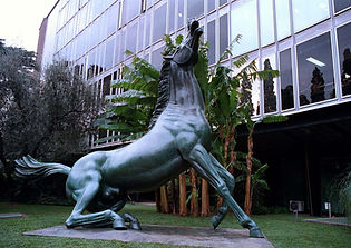 foto-cavallo-viale-mazzini.jpg