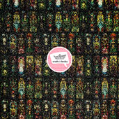 DARK BRILL (Polipiel).jpg