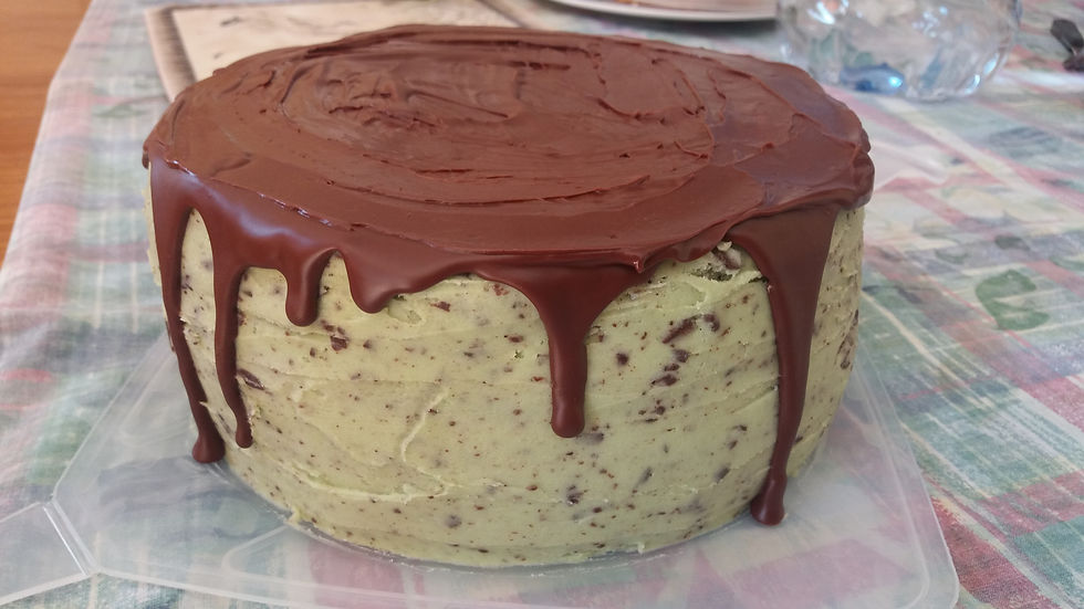 Chocolate Mint Drip Cake