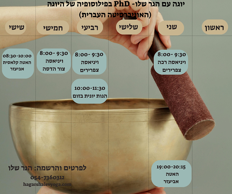 מערכת שעות מאי 2025.png