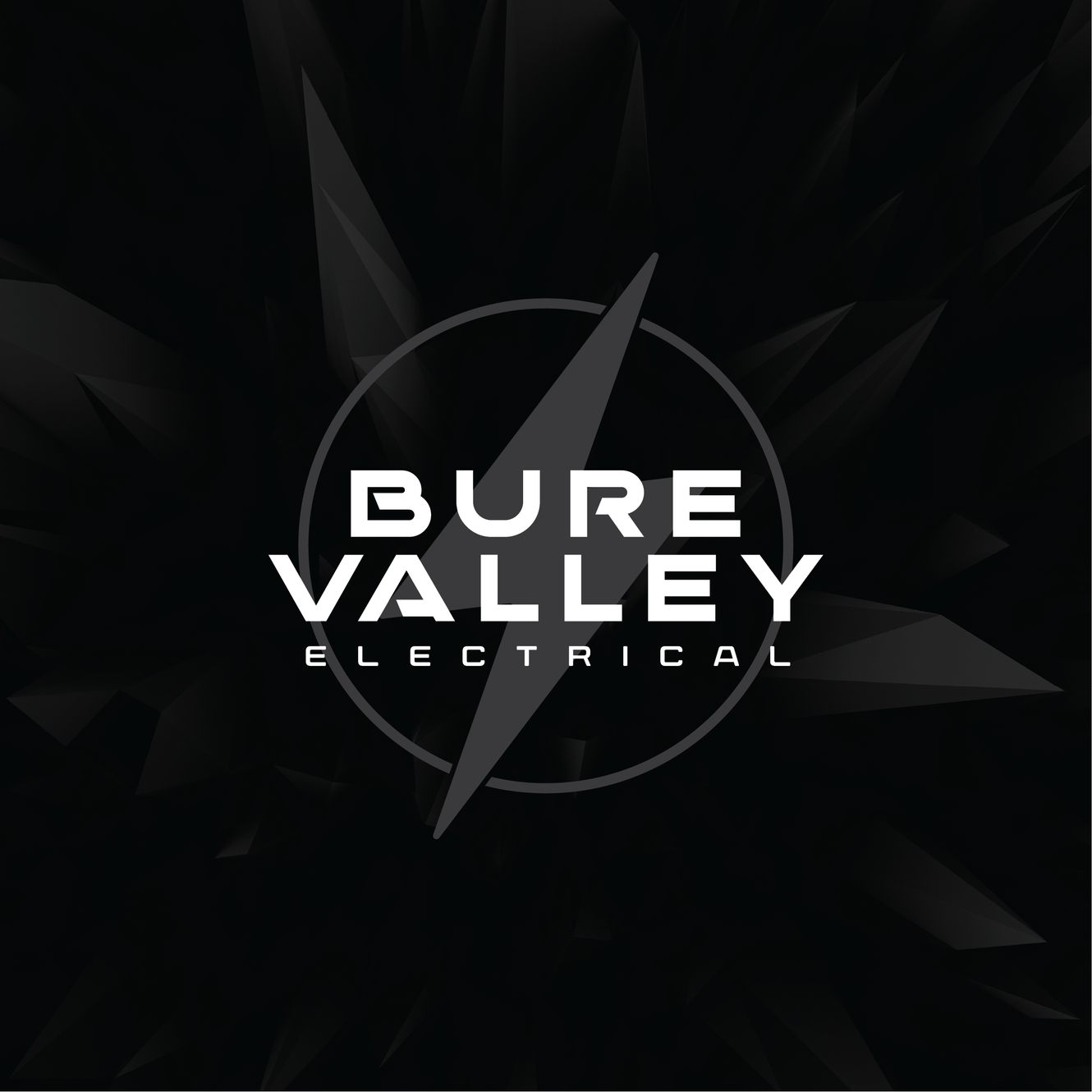 Bure Valley Electrical Services Ltd logo