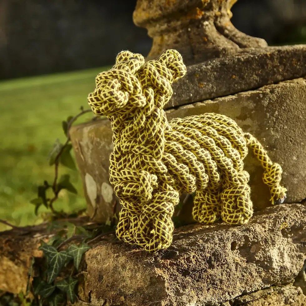 Thumbnail: Lionel the Llama, Eco Dog Toy