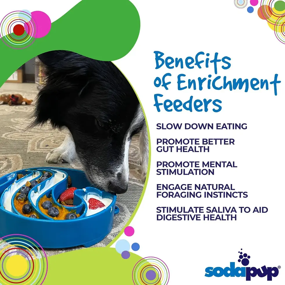 Thumbnail: Wave Design Enrichment Slow Feeder Bowl