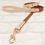Thumbnail: BROWN / POWDER PEARL - Waterproof BioThane© 2-coloured Dog Collar&Lead
