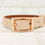 Thumbnail: BROWN / POWDER PEARL - Waterproof BioThane© 2-coloured Dog Collar&Lead