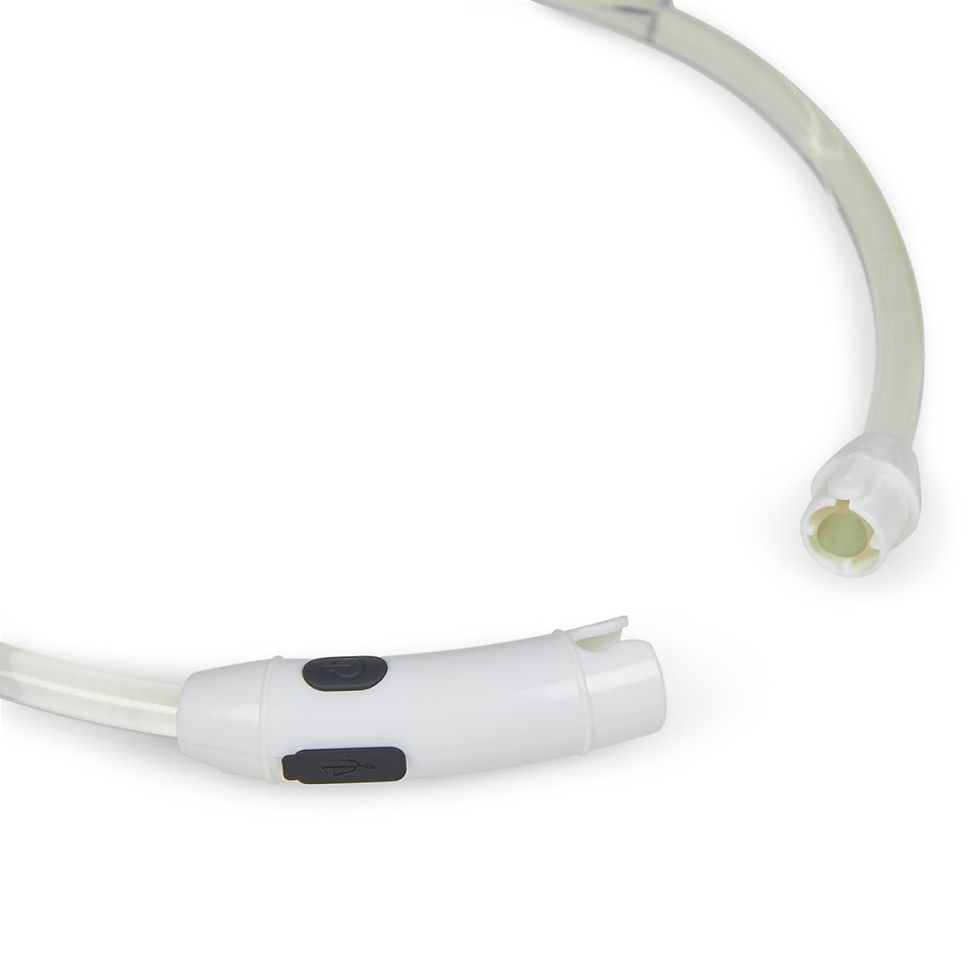 Thumbnail: OUTDOOR PAWS USB RECHARGEABLE LED RING DOG COLLAR
