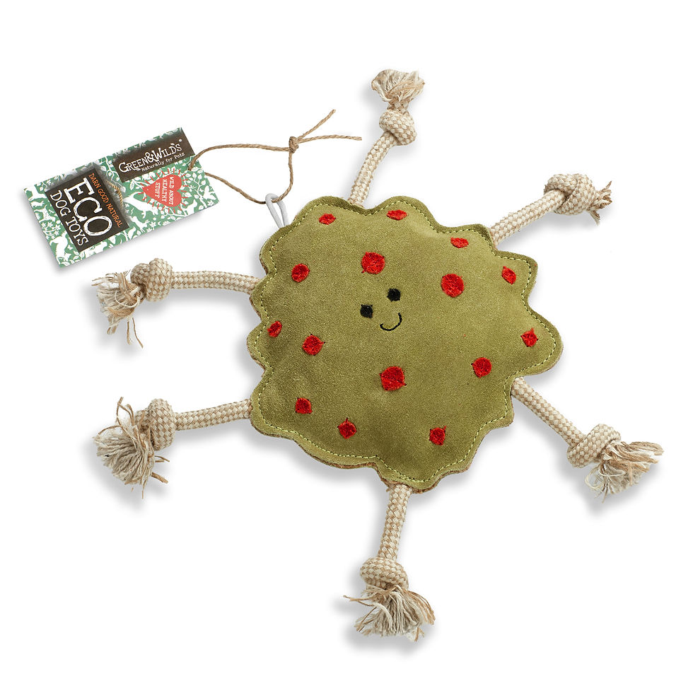 Thumbnail: Splodge, Eco Toy